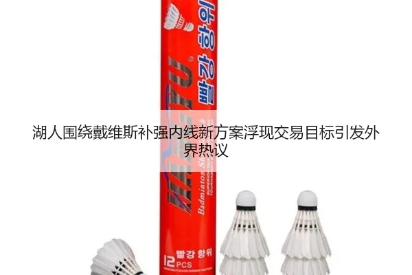 湖人围绕戴维斯补强内线新方案浮现交易目标引发外界热议